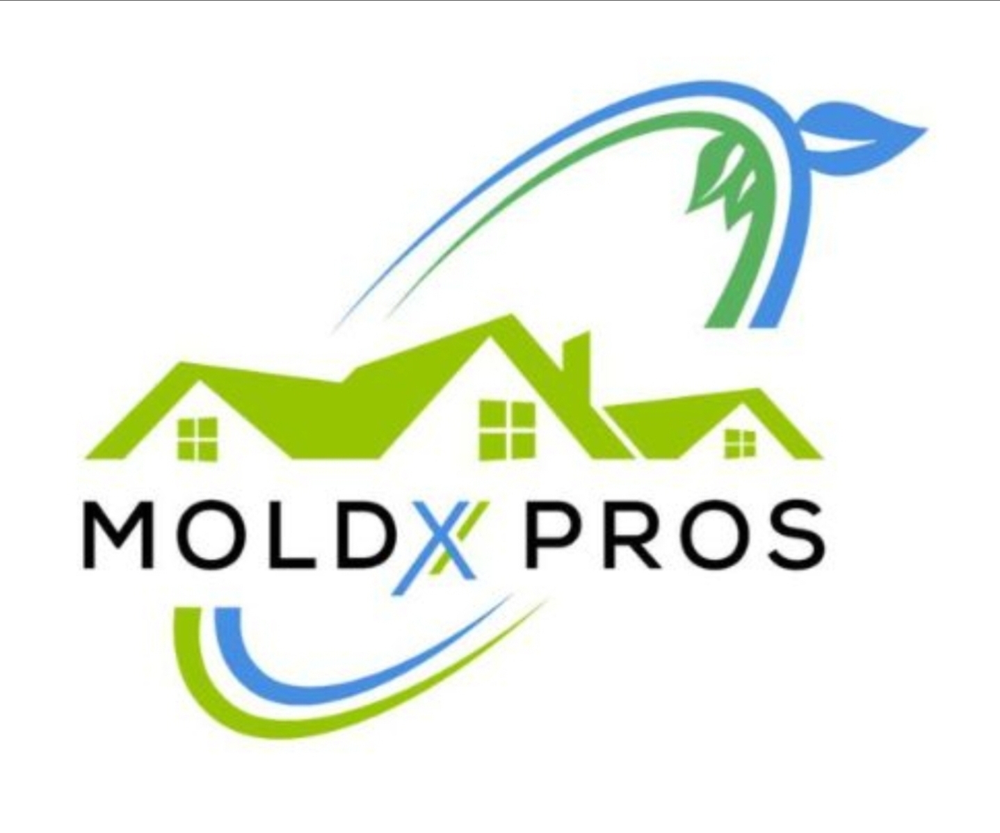 Moldx Pros logo