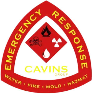 Cavins Group logo