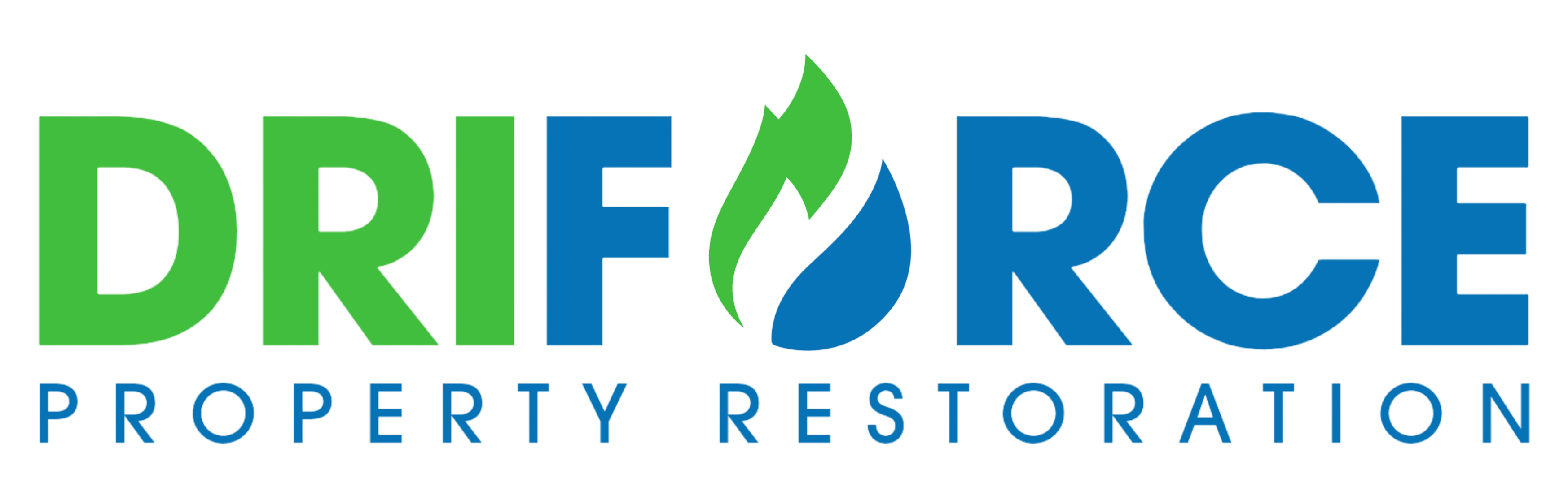 DriForce Property Restoration logo
