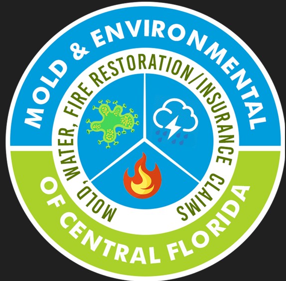 Mold and Environmental logo
